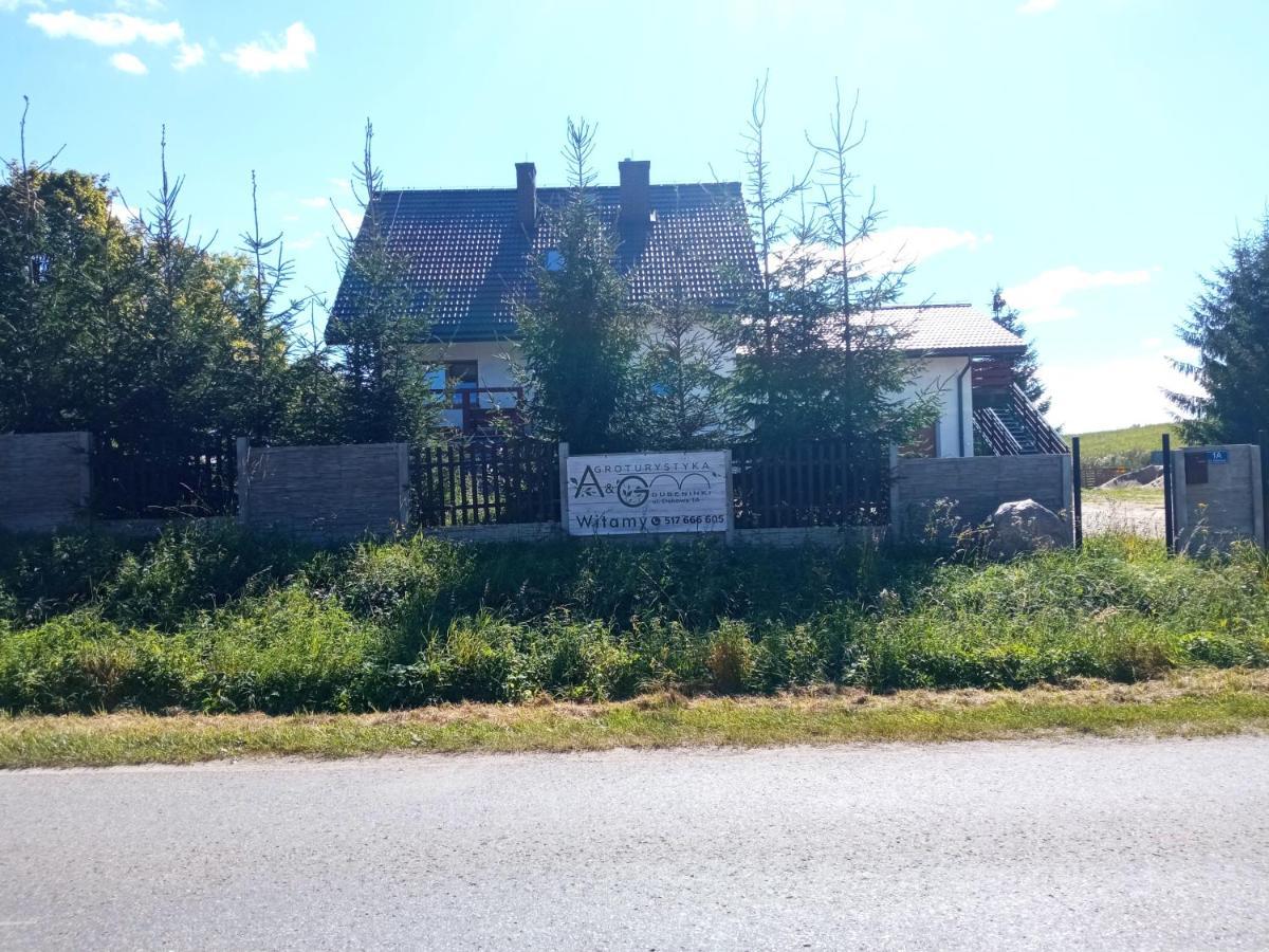 Agroturystyka A&G Dubeninki Luaran gambar
